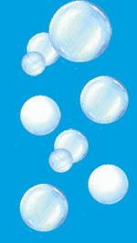 Pelicano
